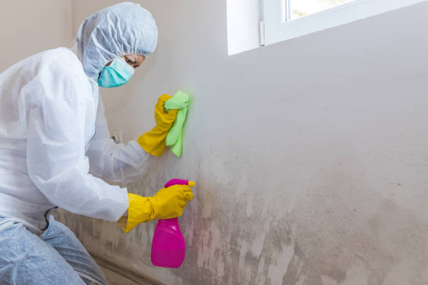 Best Environmental Consulting for Mold Prevention  in Gardende, AL